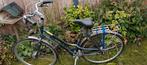 Gazelle Damesfiets - 7 Versnellingen + Slot, Ophalen