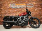 Harley-Davidson RH975 Sportster, Motoren, Motoren | Harley-Davidson, 2 cilinders, Chopper, Bedrijf, Meer dan 35 kW