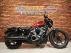 Harley-Davidson RH975 Sportster, 975 cc, Bedrijf, 2 cilinders, Chopper