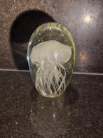 Mooie glazen presse-papier met een kwal erin., Ophalen of Verzenden