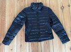 Jas / Puffer Jack Faith Connexion - Zwart Dons - Maat Medium, Ophalen of Verzenden, Zo goed als nieuw, Maat 38/40 (M), Zwart