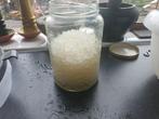 Waterkefir korrels, Diversen, Levensmiddelen, Ophalen of Verzenden