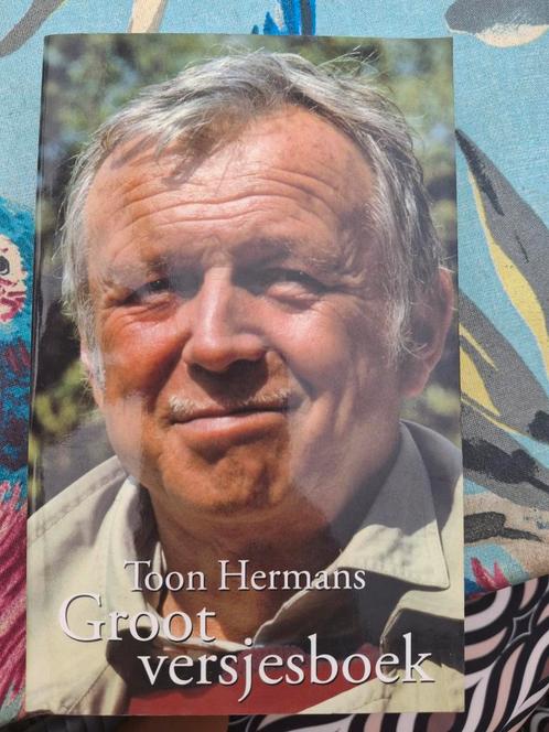 Toon Hermans - Groot versjesboek, Boeken, Gedichten en Poëzie, Gelezen, Eén auteur, Ophalen of Verzenden