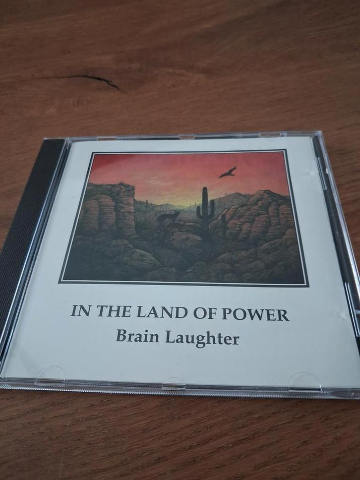 BRIAN LAUGHTER - In the Land of Power  CD, Cd's en Dvd's, Cd's | Instrumentaal, Zo goed als nieuw, Ophalen of Verzenden