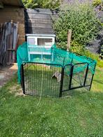 Kunstof konijnenhof Ferplast + ruime buitenren., Dieren en Toebehoren, Knaagdieren en Konijnen | Hokken en Kooien, Ophalen, 110 cm of meer