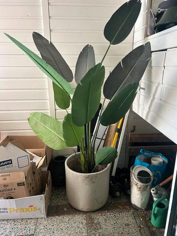 Xl grote strelitzia kunstplant beschikbaar voor biedingen