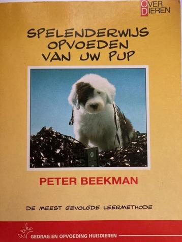 Spelenderwijs opvoeden van uw pup - Peter Beekman beschikbaar voor biedingen