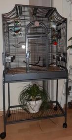 Montana Madeira 3, Ophalen, Zo goed als nieuw, Metaal, Vogelkooi