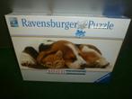 Ravensburger Puzzel Softclick technologie Poes 1000 stuks, Ophalen of Verzenden, Meer dan 50 stukjes, Nieuw, 6 jaar of ouder