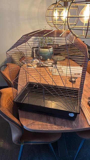 Vogelkooi bronskleurig  beschikbaar voor biedingen