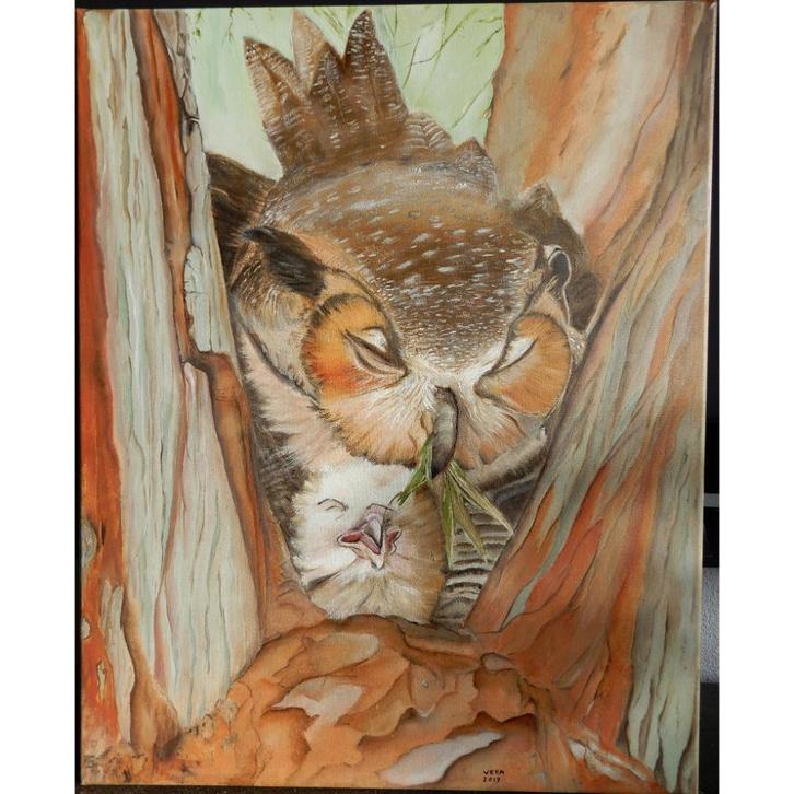 Schilderij uil (oehoe) in boomholte, Antiek en Kunst, Kunst | Schilderijen | Klassiek, Ophalen of Verzenden