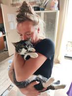 Kater circa 4jr oud zoekt een huis en tuin/boerderij/manege, Dieren en Toebehoren, Kater