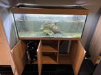 Juwel Aquarium Rio 240 LED + onderkast, Dieren en Toebehoren, Ophalen, Leeg aquarium