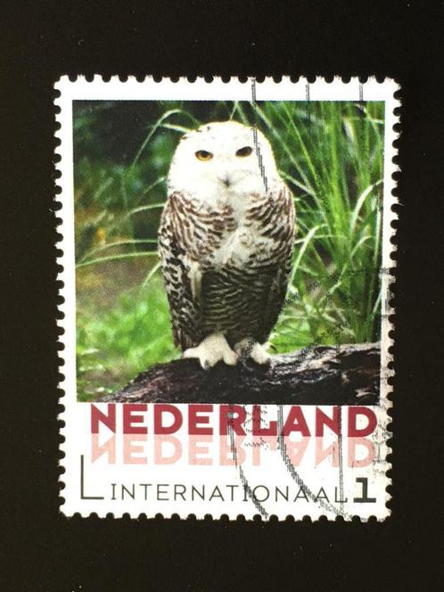 2053 Persoonlijke zegel - Sneeuwuil - Internatio - gestempel, Postzegels en Munten, Postzegels | Nederland, Gestempeld, Na 1940