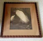 Litho Witte Zilverreigers, uitgevoerd door Henri Verstijnen, Antiek en Kunst, Curiosa en Brocante, Ophalen