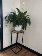2 x zwart stalen met hout plantenzuil te koop!, Ophalen, Zo goed als nieuw