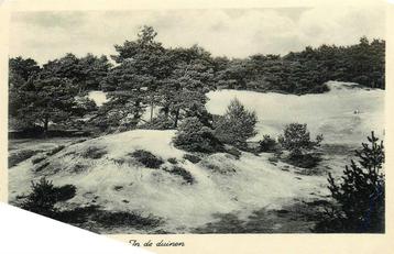 (388-411-031) Nederland In de duinen beschikbaar voor biedingen