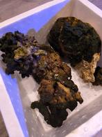 Levend steen Zeeaquarium, Dieren en Toebehoren, Ophalen, Zo goed als nieuw, Plant(en), Steen of Hout
