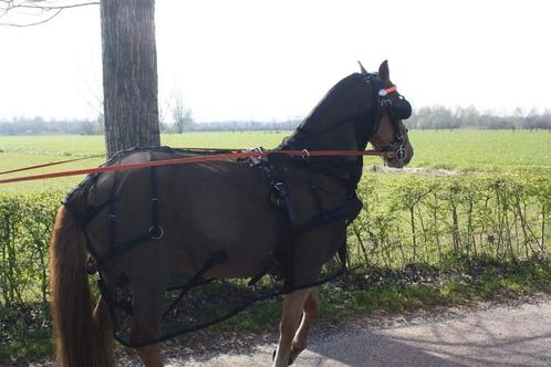 Menvliegendekens Nieuw, Dieren en Toebehoren, Paarden en Pony's | Dekens en Dekjes, Nieuw, Deken, Verzenden