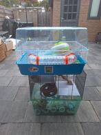 2 kooien voor knaagdier, Dieren en Toebehoren, Minder dan 60 cm, Kooi, Minder dan 75 cm, Ophalen of Verzenden