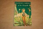 Flower Fairies of the Wayside - Cicely Mary Barker, Ophalen of Verzenden, Gelezen