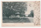 Bodjongsche Plein Semarang Nederlands-Indië Java, Verzenden, Voor 1920, Ongelopen, Buiten Europa