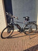 2 sportieve ebikes Fischer, Gebruikt, 51 tot 55 cm, 50 km per accu of meer, Ophalen