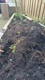 Gratis 2 bakken tuinaarde!, Tuin en Terras, Ophalen, Tuinaarde