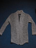 Gemeleerd vest Cars maat 16 / 176, Kinderen en Baby's, Kinderkleding | Maat 176, Meisje, Trui of Vest, Ophalen of Verzenden, Zo goed als nieuw