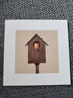 Anne Geddes kaart, Ophalen of Verzenden, 2000 tot heden, Geboortekaartje