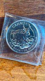 1 oz zilver Canadian Wildlife ‘Pronghorn Antelope’ 2013, Ophalen of Verzenden, Zilver