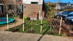 Leifruit Bomen❗️ kers 🍒peer🍐appel 🍐pruimen🫐 half stam, Ophalen, Minder dan 100 cm, Appelboom, Lente
