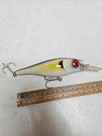 Repaint spro pikefighter 5m, Watersport en Boten, Ophalen of Verzenden, Zo goed als nieuw, Overige typen