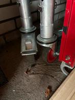 Altrex Kamer Rolsteiger RS Tower 44, Doe-het-zelf en Verbouw, Steigers, Ophalen of Verzenden, Zo goed als nieuw, Rolsteiger of Kamersteiger