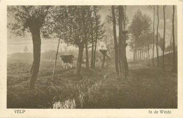 (377-649-033) Velp In de Weide beschikbaar voor biedingen