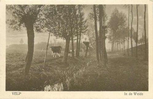 (377-649-033) Velp In de Weide, Verzamelen, Ansichtkaarten | Nederland, Gelderland, Verzenden