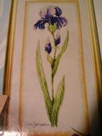 Z.G.A.N., Origineel, Patroon Botanical Iris. Verkoop ook DMC, Ophalen of Verzenden, Zo goed als nieuw, Handborduren, Patroon