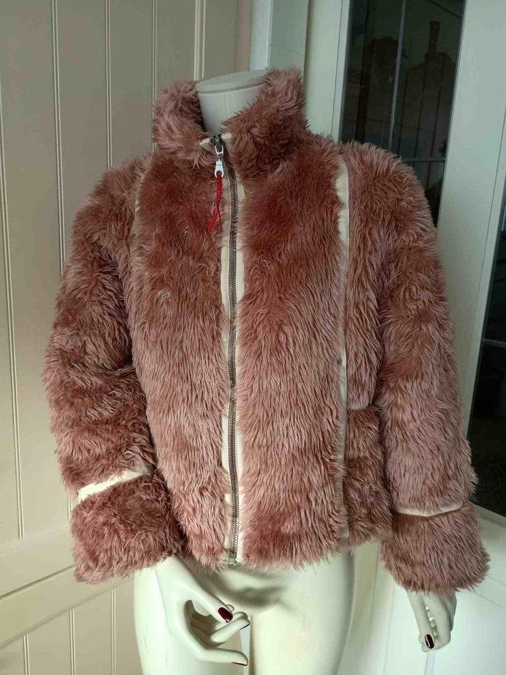 Diesel roze berenjas Original Vintage, Kleding | Dames, Jassen | Winter, Gedragen, Maat 36 (S), Roze, Ophalen of Verzenden