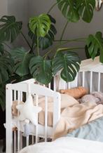 Co sleeper wiegje Petite Amelie 90x55, Kinderen en Baby's, Babywiegjes en Ledikanten, Wieg, Gebruikt, Ophalen