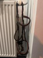 Bruin hoofdstel maat cob/ kleine full, Dieren en Toebehoren, Paarden en Pony's | Hoofdstellen en Tuigage, Ophalen of Verzenden