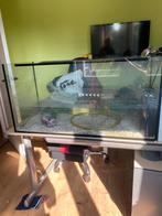 Volglas aquarium 100-40-50 (b-d-h), Dieren en Toebehoren, Ophalen, Gebruikt, Leeg aquarium