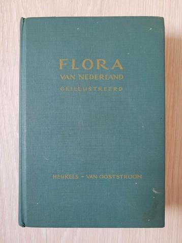 Flora van Nederland Heukels van Ooststroom 1970 beschikbaar voor biedingen