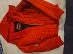 Rood jasje van superdry, Superdry, Ophalen of Verzenden, Zo goed als nieuw, Maat 36 (S)