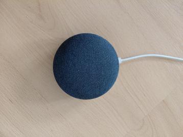 Google mini nest beschikbaar voor biedingen