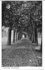 Oisterwijk Trouwlaantje., Ophalen of Verzenden, 1940 tot 1960, Gelopen, Noord-Brabant