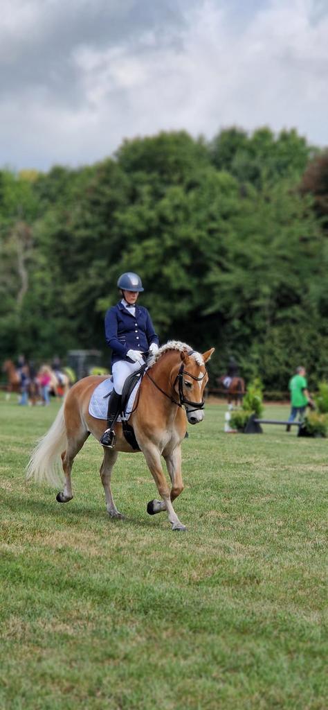 Paardrij instructie en bosritten aangeboden!, Dieren en Toebehoren, Paarden en Pony's | Overige Paardenspullen, Ophalen of Verzenden