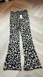 “NIEUW”Dsmes broek maat S AMBIKA, Bruin, Nieuw, Ophalen of Verzenden, Maat 36 (S)