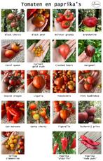 Bio ZADEN van de lekkerste tomaten/paprika's uit eigen tuin, Ophalen of Verzenden, Voorjaar, Volle zon, Zaad
