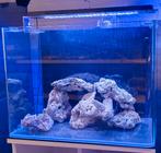Aquarent/ zeeaquarium/ zoutwater water aquarium/ aquarium, Ophalen, Leeg aquarium