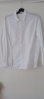 Eterna Blouse nieuw, Wit, Maat 46/48 (XL) of groter, Nieuw, Ophalen of Verzenden